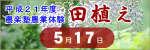 稲刈り