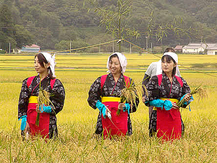 抜穂祭